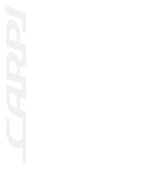 logo Carpi Srl