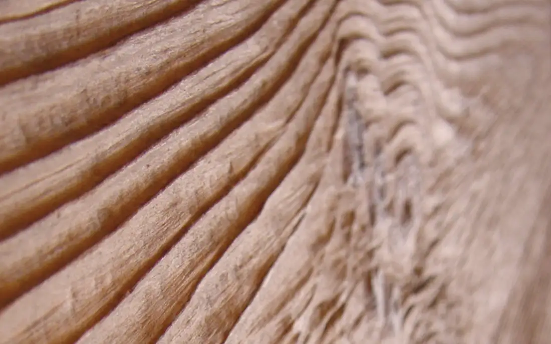 Legno antico invecchiato